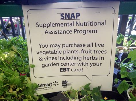 The USDA says you <b>can</b> grow $25 worth of produce for every dollar spent on seeds and fertilizer, yet Modern Farmer says this important inclusion is one of the least known. . Where can i buy plants with ebt online